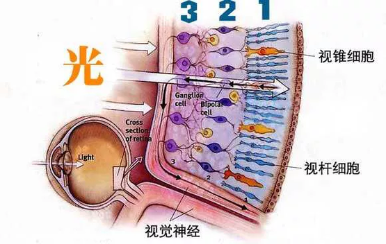 1646984329782049.png 微信圖片_20220311153248.png